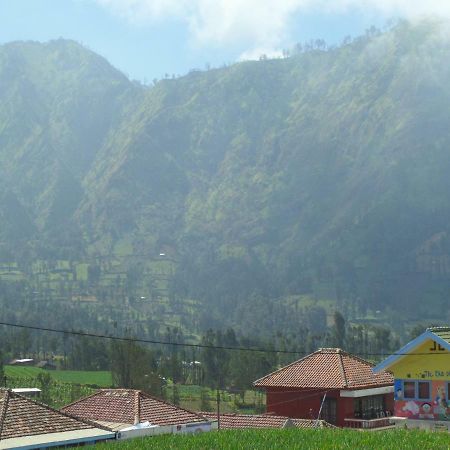 Tengger Indah Homestay Bromo Extérieur photo
