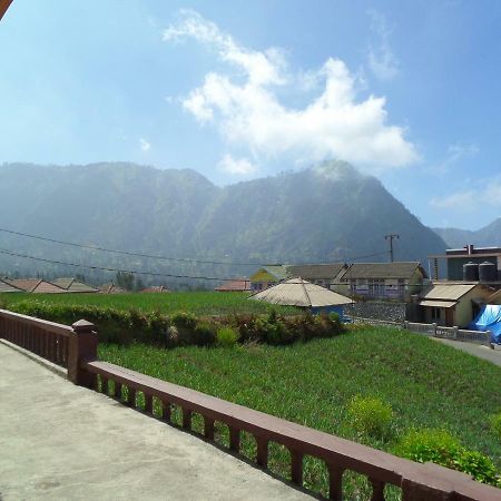 Tengger Indah Homestay Bromo Extérieur photo