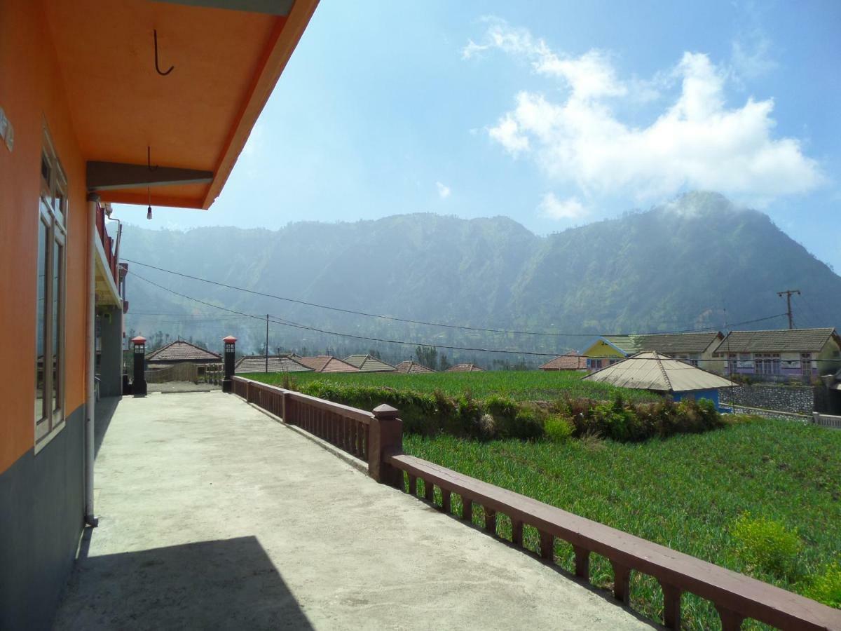 Tengger Indah Homestay Bromo Extérieur photo