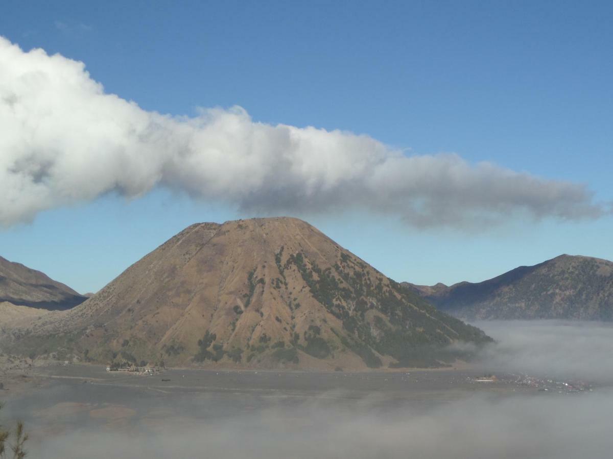 Tengger Indah Homestay Bromo Extérieur photo