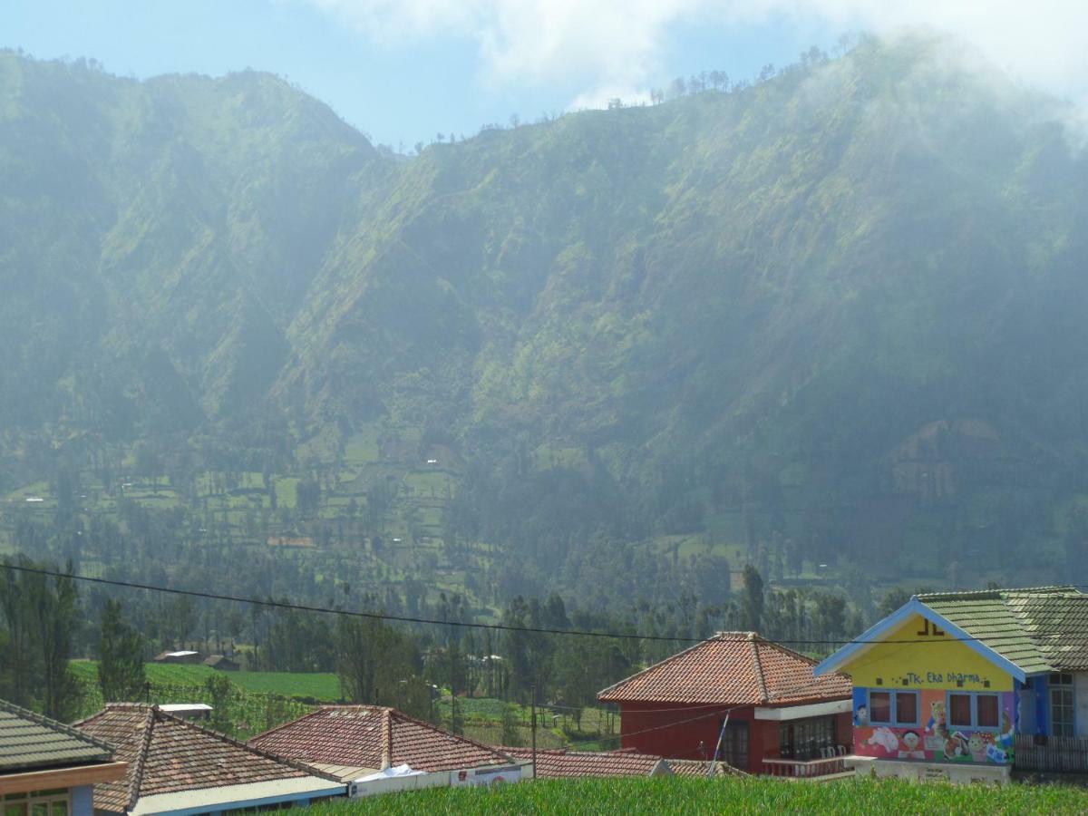 Tengger Indah Homestay Bromo Extérieur photo